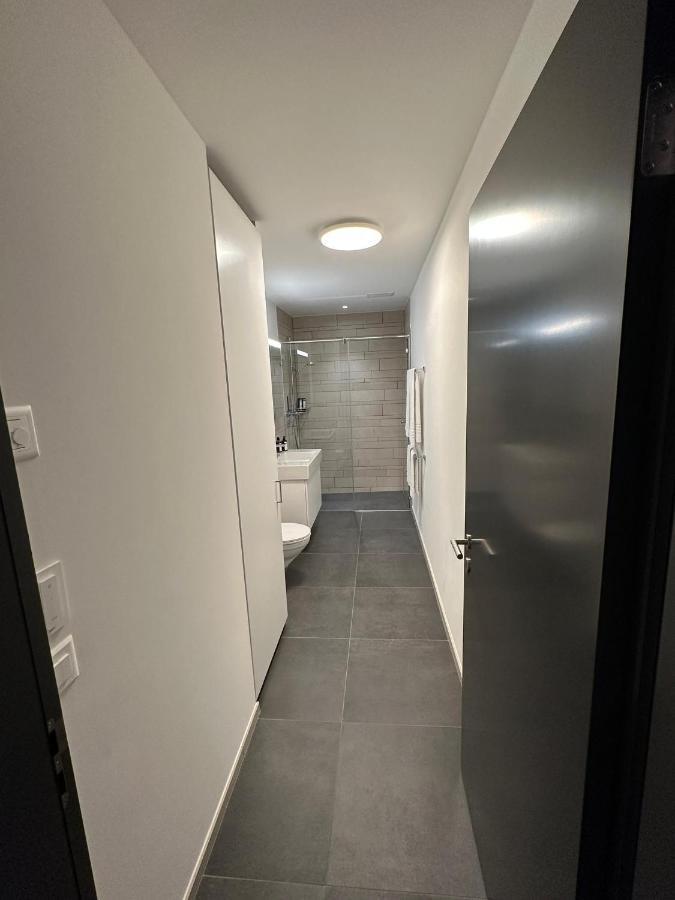 Beautiful Sunny New 1 Bed Apt Flims Exteriör bild